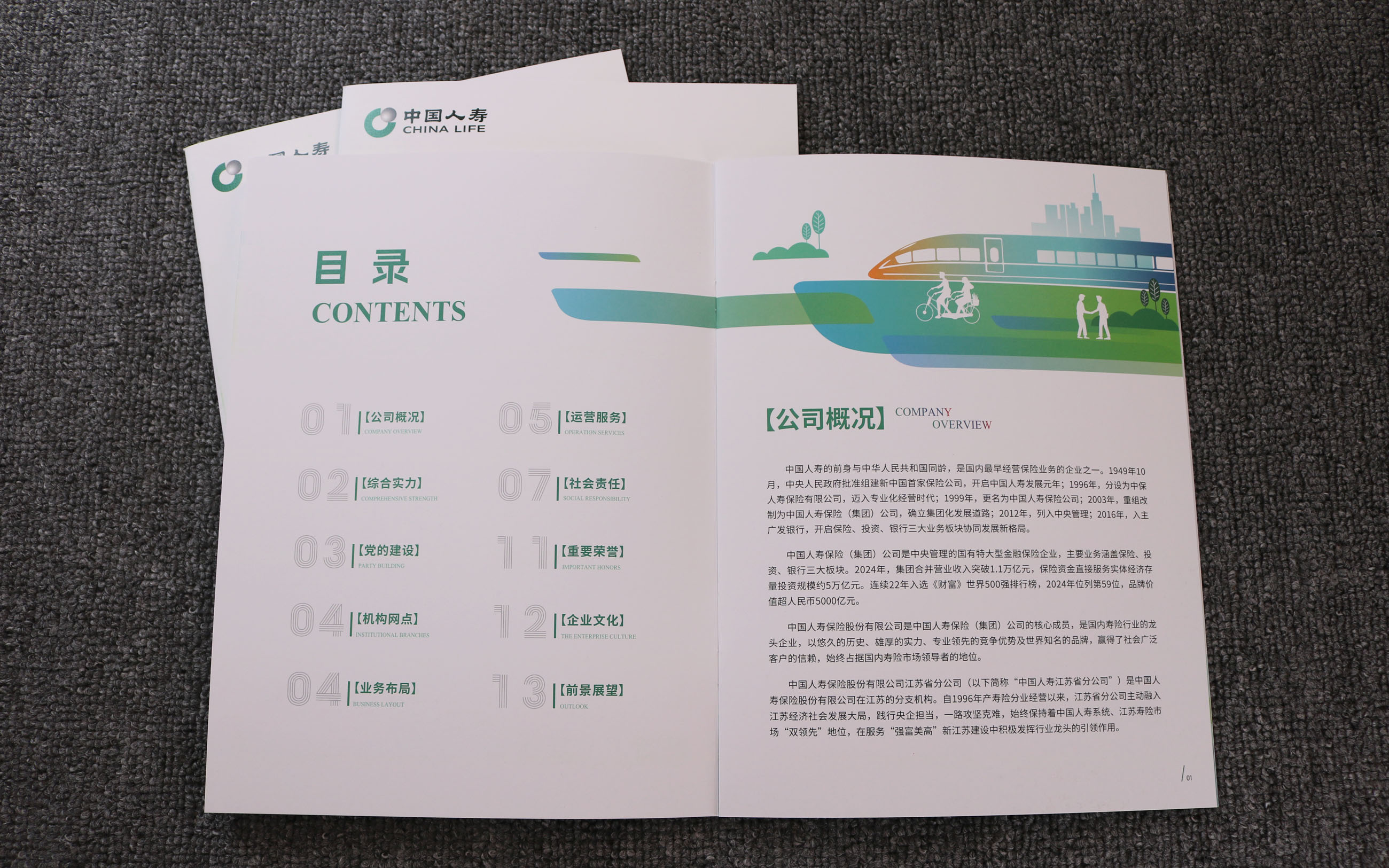 人寿画册印刷